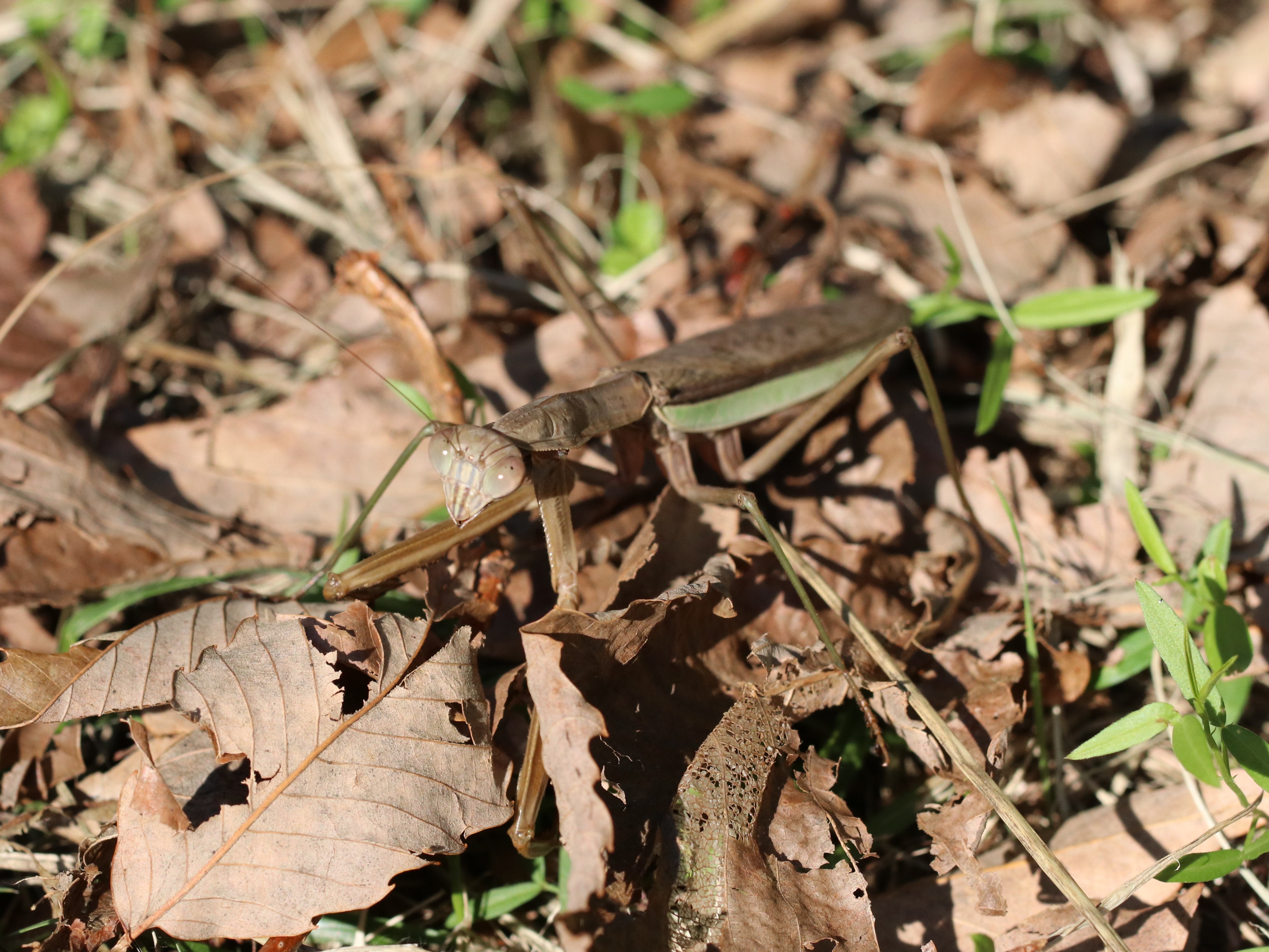 photo_4